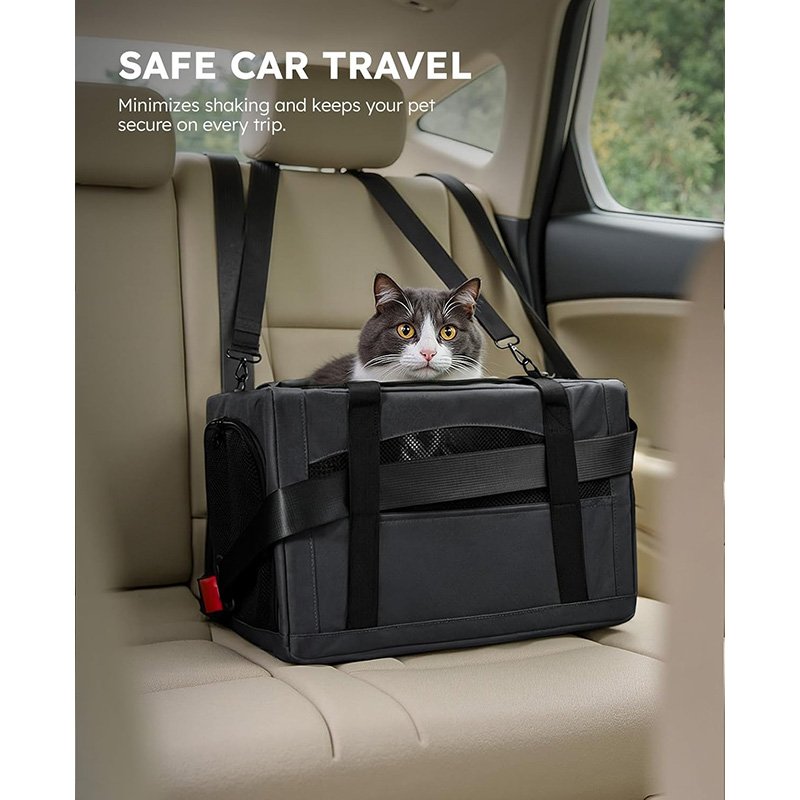 Double-fixed pet car carrier