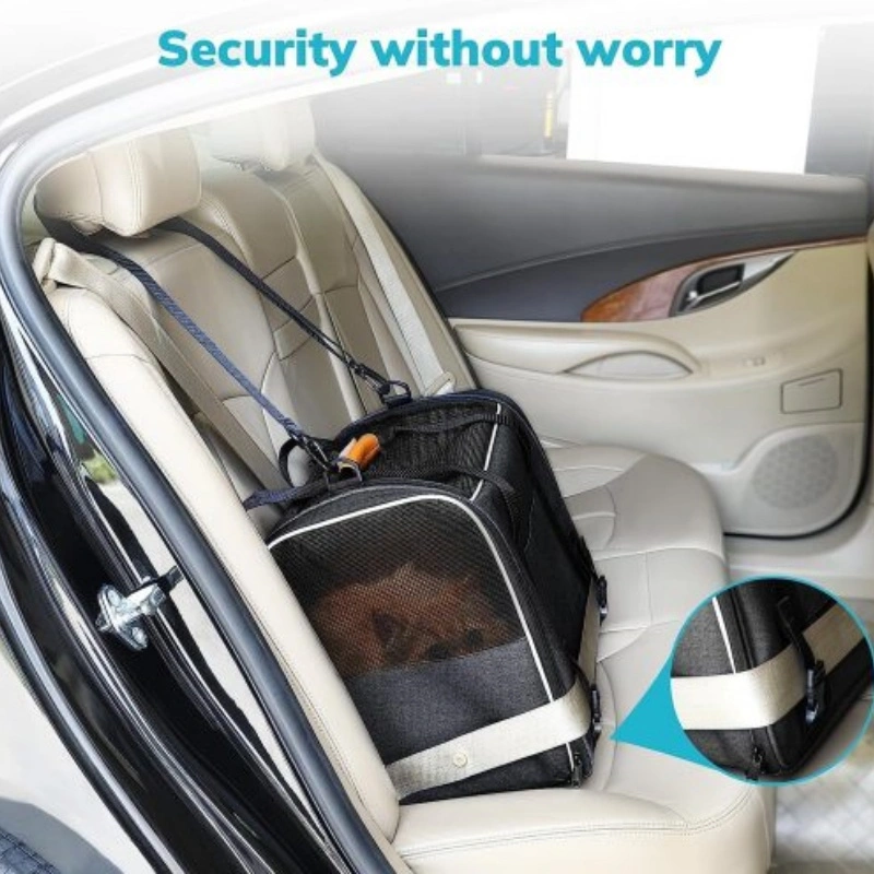 Airline & Car Ready Soft Pet Travel Carrier Bag OEM